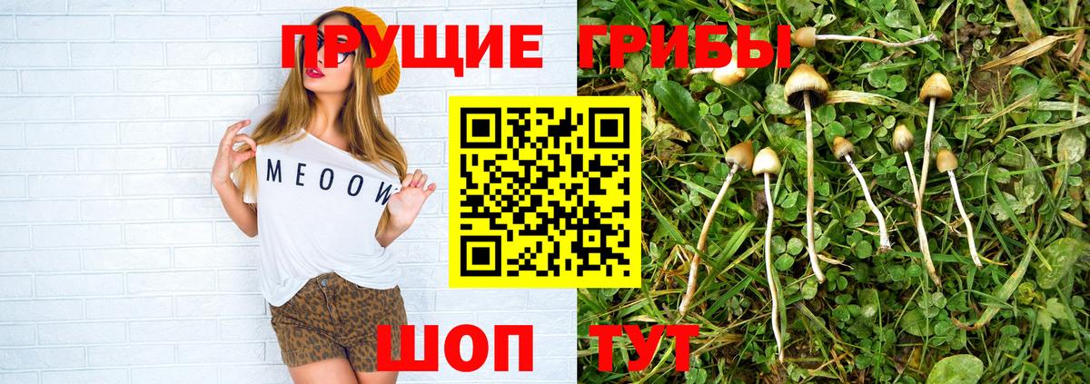Кинешма  Галлюциногенные грибы MAGIC MUSHROOMS  Вход с VPN 